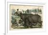 Rhinoceros and Dogs C1845-null-Framed Premium Giclee Print