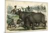Rhinoceros and Dogs C1845-null-Mounted Premium Giclee Print