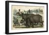 Rhinoceros and Dogs C1845-null-Framed Art Print