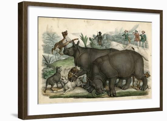 Rhinoceros and Dogs C1845-null-Framed Art Print