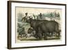 Rhinoceros and Dogs C1845-null-Framed Art Print