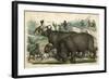 Rhinoceros and Dogs C1845-null-Framed Art Print