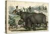 Rhinoceros and Dogs C1845-null-Stretched Canvas