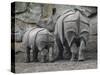 Rhinoceros and Her Youngster Hang Out in their Outdoor Enclosure at the Tierpark in Berlin-null-Stretched Canvas