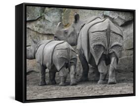Rhinoceros and Her Youngster Hang Out in their Outdoor Enclosure at the Tierpark in Berlin-null-Framed Stretched Canvas