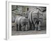 Rhinoceros and Her Youngster Hang Out in their Outdoor Enclosure at the Tierpark in Berlin-null-Framed Photographic Print