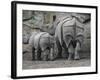 Rhinoceros and Her Youngster Hang Out in their Outdoor Enclosure at the Tierpark in Berlin-null-Framed Photographic Print