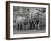 Rhinoceros and Her Youngster Hang Out in their Outdoor Enclosure at the Tierpark in Berlin-null-Framed Photographic Print