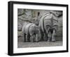 Rhinoceros and Her Youngster Hang Out in their Outdoor Enclosure at the Tierpark in Berlin-null-Framed Photographic Print