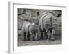 Rhinoceros and Her Youngster Hang Out in their Outdoor Enclosure at the Tierpark in Berlin-null-Framed Photographic Print