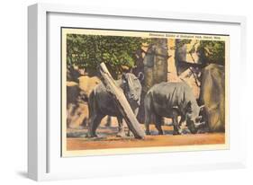 Rhinoceros at Zoo, Detroit, Michigan-null-Framed Art Print