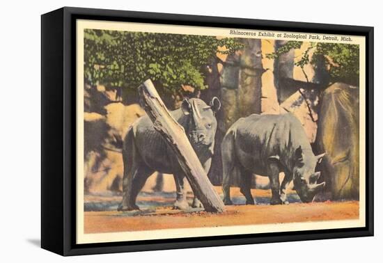 Rhinoceros at Zoo, Detroit, Michigan-null-Framed Stretched Canvas