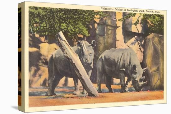 Rhinoceros at Zoo, Detroit, Michigan-null-Stretched Canvas