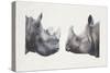 Rhinoceros Heads, Black Rhinoceros (Diceros Bicornis) and Rhinoceros (Genus)-null-Stretched Canvas