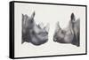 Rhinoceros Heads, Black Rhinoceros (Diceros Bicornis) and Rhinoceros (Genus)-null-Framed Stretched Canvas