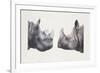 Rhinoceros Heads, Black Rhinoceros (Diceros Bicornis) and Rhinoceros (Genus)-null-Framed Giclee Print