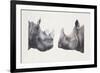 Rhinoceros Heads, Black Rhinoceros (Diceros Bicornis) and Rhinoceros (Genus)-null-Framed Giclee Print