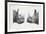 Rhinoceros Heads, Black Rhinoceros (Diceros Bicornis) and Rhinoceros (Genus)-null-Framed Giclee Print