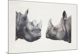 Rhinoceros Heads, Black Rhinoceros (Diceros Bicornis) and Rhinoceros (Genus)-null-Mounted Giclee Print