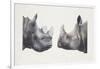 Rhinoceros Heads, Black Rhinoceros (Diceros Bicornis) and Rhinoceros (Genus)-null-Framed Giclee Print