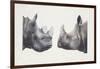 Rhinoceros Heads, Black Rhinoceros (Diceros Bicornis) and Rhinoceros (Genus)-null-Framed Giclee Print