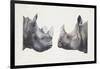 Rhinoceros Heads, Black Rhinoceros (Diceros Bicornis) and Rhinoceros (Genus)-null-Framed Giclee Print