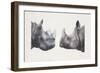 Rhinoceros Heads, Black Rhinoceros (Diceros Bicornis) and Rhinoceros (Genus)-null-Framed Giclee Print