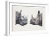 Rhinoceros Heads, Black Rhinoceros (Diceros Bicornis) and Rhinoceros (Genus)-null-Framed Giclee Print