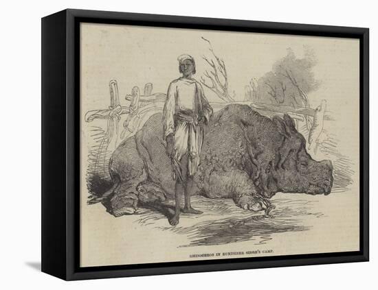 Rhinoceros in Rundheer Singh's Camp-null-Framed Stretched Canvas