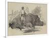 Rhinoceros in Rundheer Singh's Camp-null-Framed Giclee Print