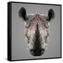 Rhinoceros Low Poly Portrait-kakmyc-Framed Stretched Canvas