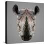 Rhinoceros Low Poly Portrait-kakmyc-Stretched Canvas