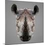 Rhinoceros Low Poly Portrait-kakmyc-Mounted Art Print