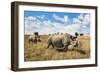 Rhinoceros, Ol Pejeta Conservancy, Laikipia, Kenya, East Africa, Africa-Ann and Steve Toon-Framed Photographic Print