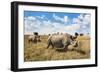 Rhinoceros, Ol Pejeta Conservancy, Laikipia, Kenya, East Africa, Africa-Ann and Steve Toon-Framed Photographic Print