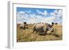 Rhinoceros, Ol Pejeta Conservancy, Laikipia, Kenya, East Africa, Africa-Ann and Steve Toon-Framed Photographic Print