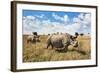 Rhinoceros, Ol Pejeta Conservancy, Laikipia, Kenya, East Africa, Africa-Ann and Steve Toon-Framed Photographic Print