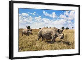 Rhinoceros, Ol Pejeta Conservancy, Laikipia, Kenya, East Africa, Africa-Ann and Steve Toon-Framed Photographic Print