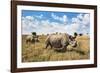 Rhinoceros, Ol Pejeta Conservancy, Laikipia, Kenya, East Africa, Africa-Ann and Steve Toon-Framed Photographic Print