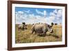 Rhinoceros, Ol Pejeta Conservancy, Laikipia, Kenya, East Africa, Africa-Ann and Steve Toon-Framed Photographic Print