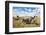 Rhinoceros, Ol Pejeta Conservancy, Laikipia, Kenya, East Africa, Africa-Ann and Steve Toon-Framed Photographic Print