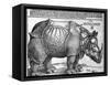 Rhinoceros, Print Given to Maximilian I by the King of Lisbon, 1515-Albrecht Durer-Framed Stretched Canvas