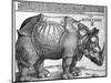 Rhinoceros, Print Given to Maximilian I by the King of Lisbon, 1515-Albrecht Durer-Mounted Giclee Print