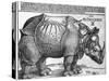 Rhinoceros, Print Given to Maximilian I by the King of Lisbon, 1515-Albrecht Durer-Stretched Canvas