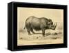 Rhinoceros Tichorhinus-Joseph Smit-Framed Stretched Canvas