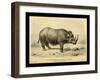 Rhinoceros Tichorhinus-Joseph Smit-Framed Art Print