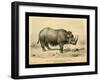 Rhinoceros Tichorhinus-Joseph Smit-Framed Art Print