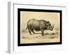 Rhinoceros Tichorhinus-Joseph Smit-Framed Art Print