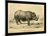 Rhinoceros Tichorhinus-Joseph Smit-Mounted Art Print