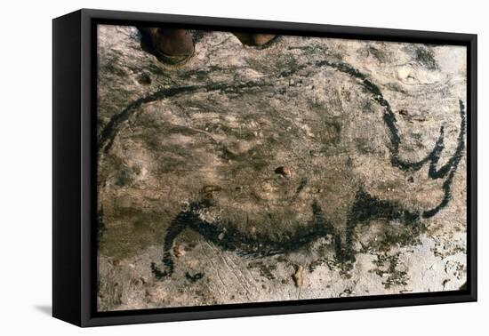 Rhinoceros, Upper Paleolithic-null-Framed Stretched Canvas